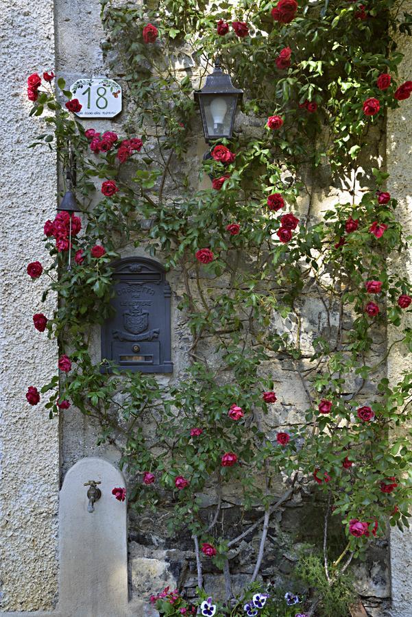 La Casa Dei Nonni Castelbianco Panzió Colletta Kültér fotó